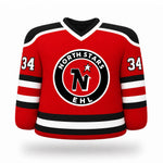 North Stars Jersey Pillow